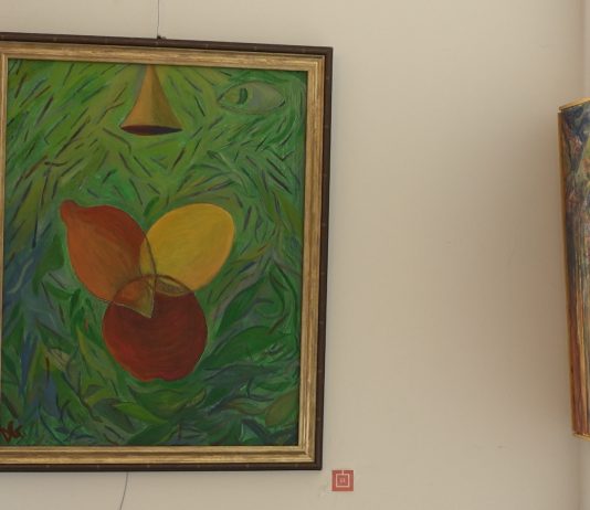 In memoriam: Eugen Craciun- poveste despre geometria si trasparenta destinului