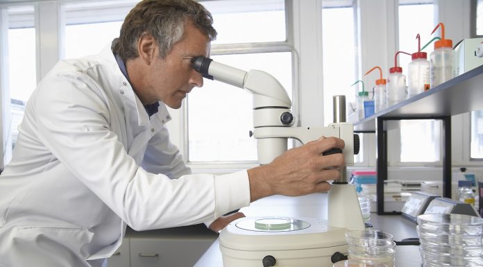 Celulele stem in tratarea diabetului