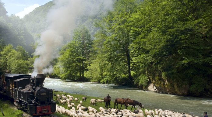 5 locuri din România pe care merită să le vizitezi în orice perioadă a anului