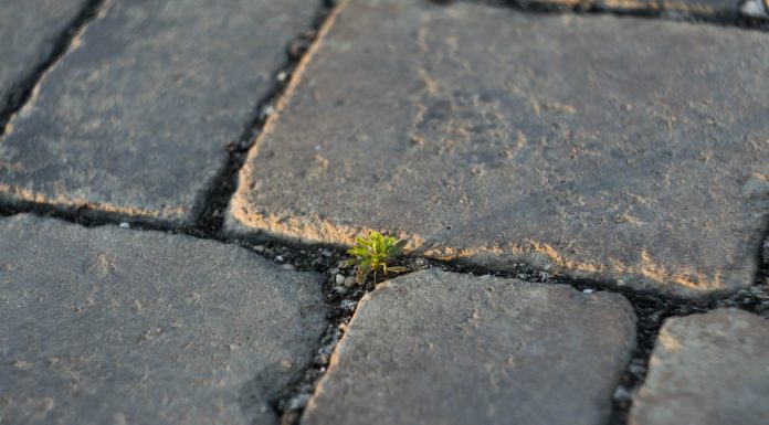 Doua recomandari de intretinere a pavajului exterior