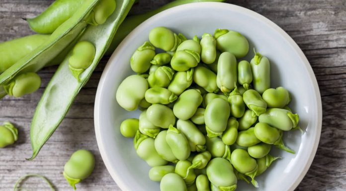 Fasole: proprietati si contraindicatii