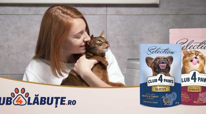 Lansare Magazin Online Club4Labute.ro Mâncare câini și pisici